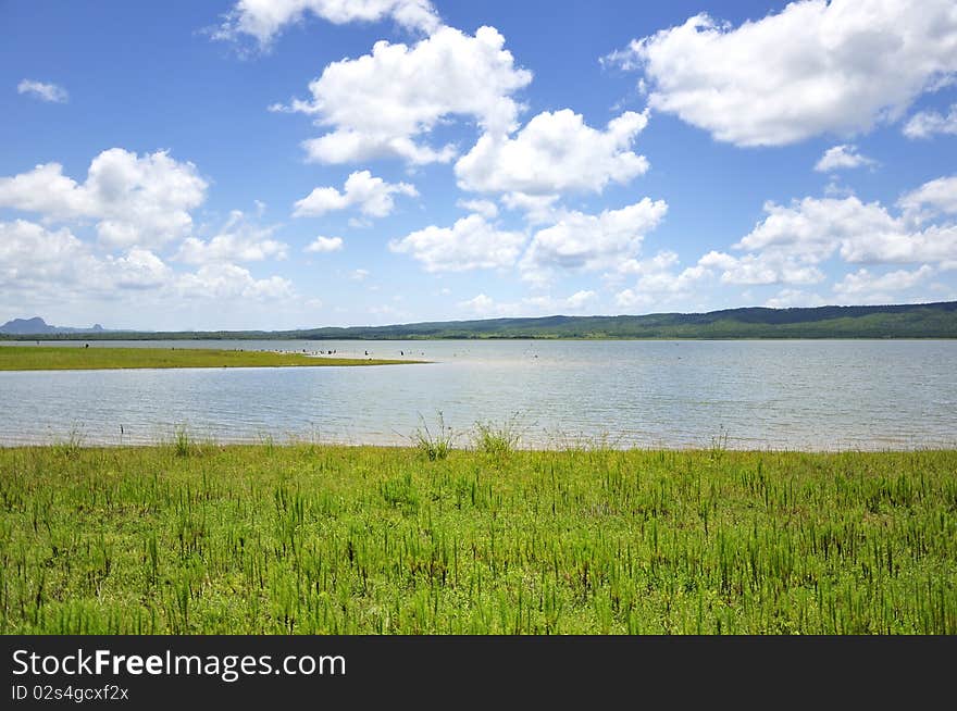 Green field, lake and sky background