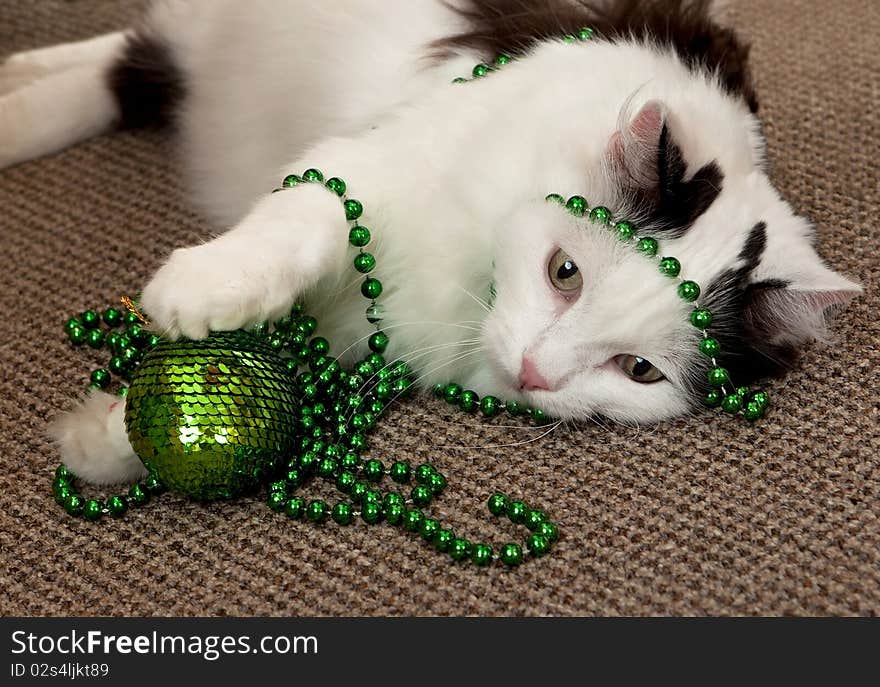 Cat With A New Year S Decorations.