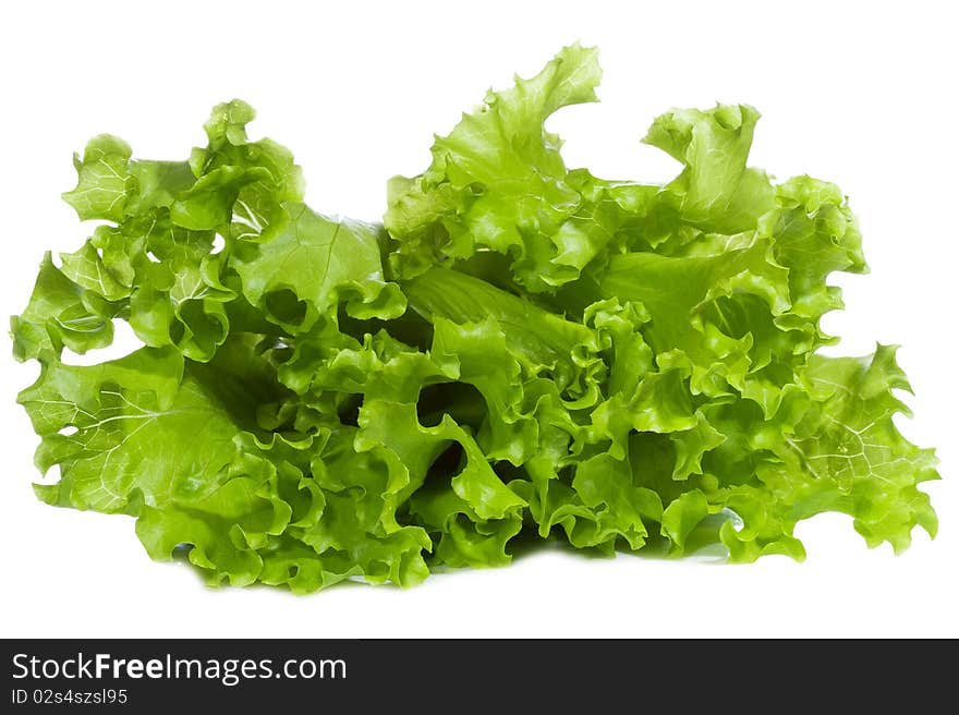 Green salad on white background