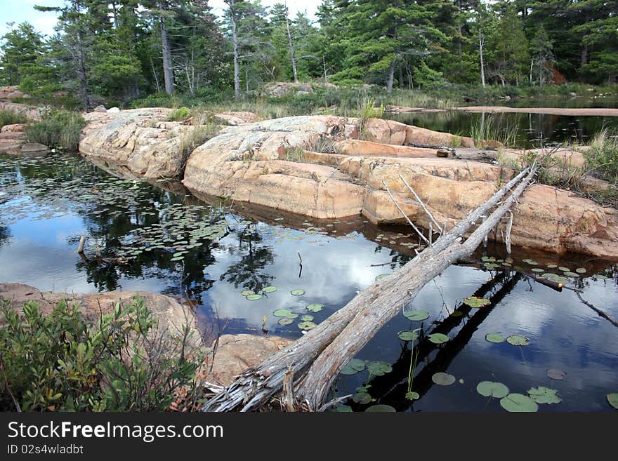 Makeshift Bridge over Ponds