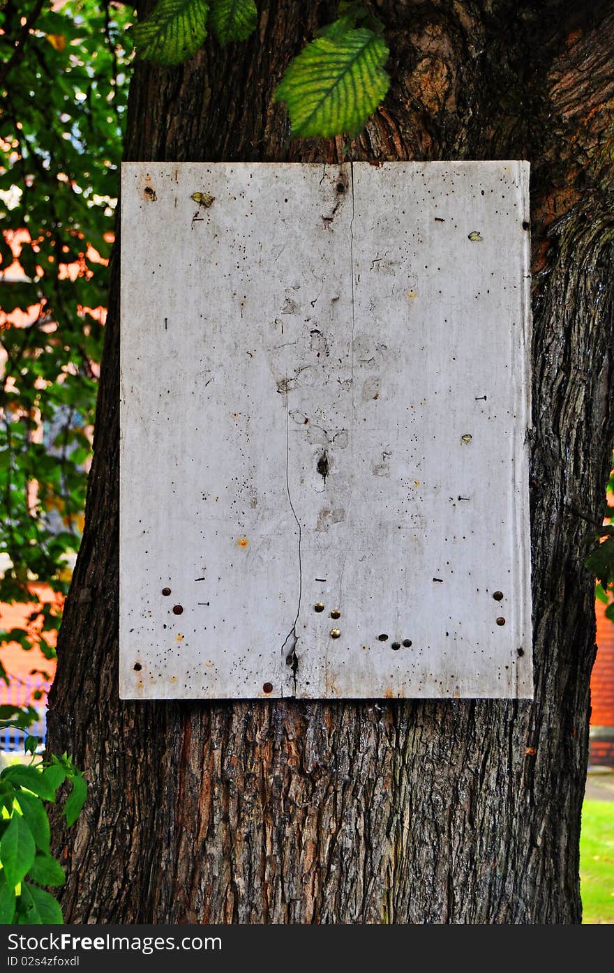 A blank white notice board on the bark of an old established tree. A blank white notice board on the bark of an old established tree