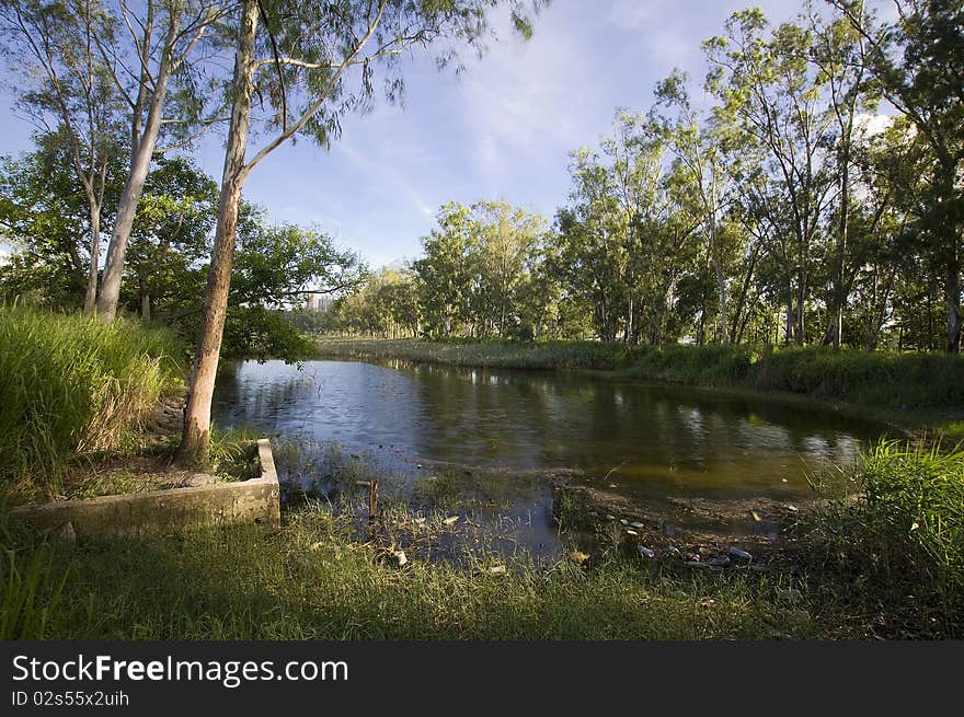 Nature of Countryside