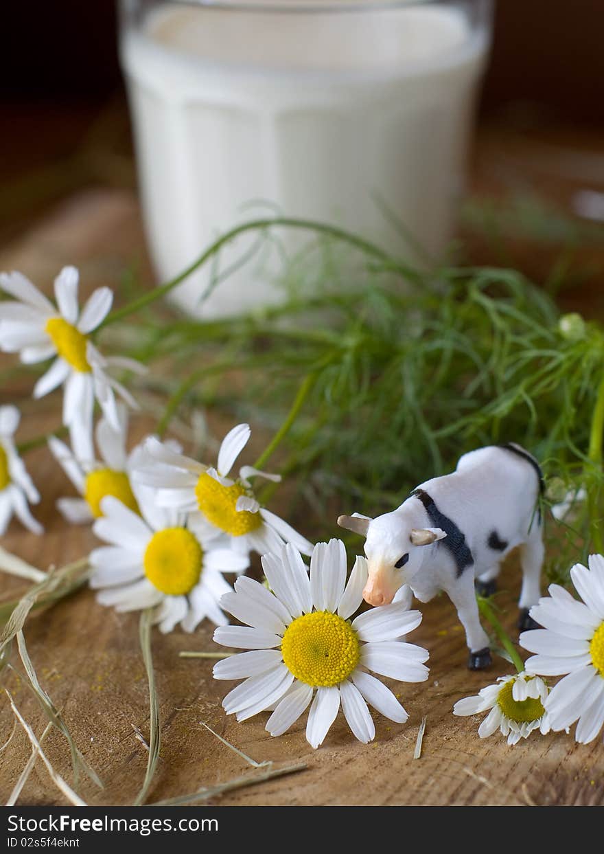 Toy cow with daisy and glass of milk in background. Toy cow with daisy and glass of milk in background