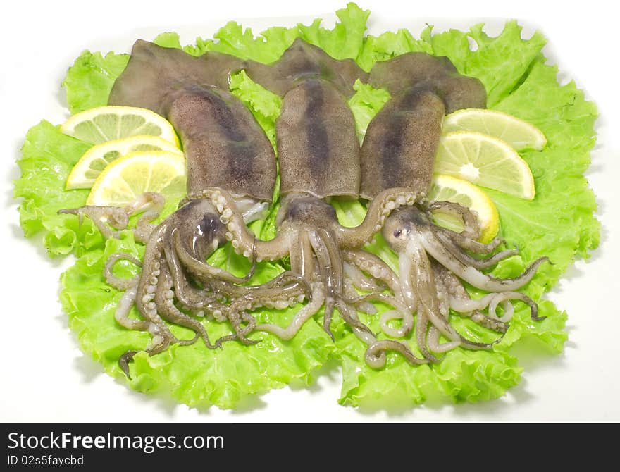 Three nice fresh squids on the green lettuce leaves with lemon slices isolated on white background