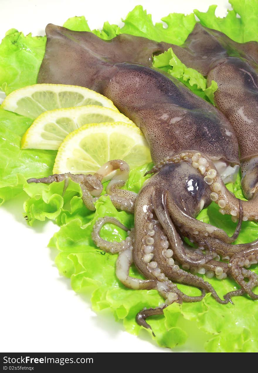 Fresh squids on the lettuce leaves with lemon slices