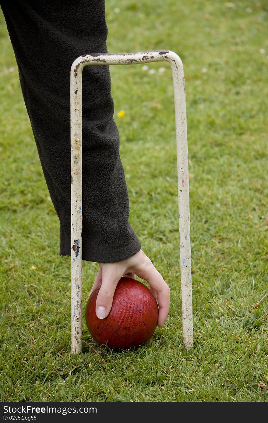 Croquet ball and hoop