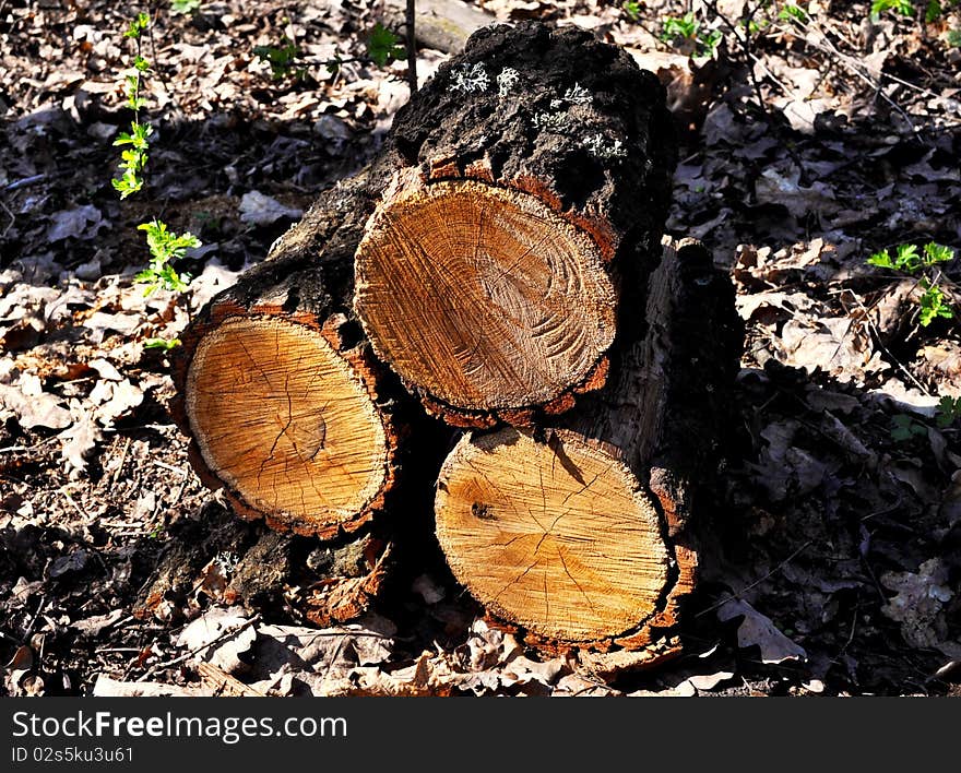 Wooden Logs