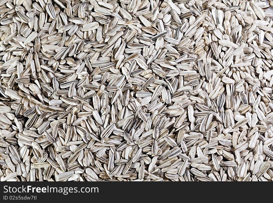 Sunflower Seeds