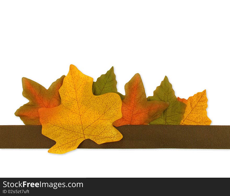 Colorful autumn leaves with a brown grosgrain ribbon. Colorful autumn leaves with a brown grosgrain ribbon