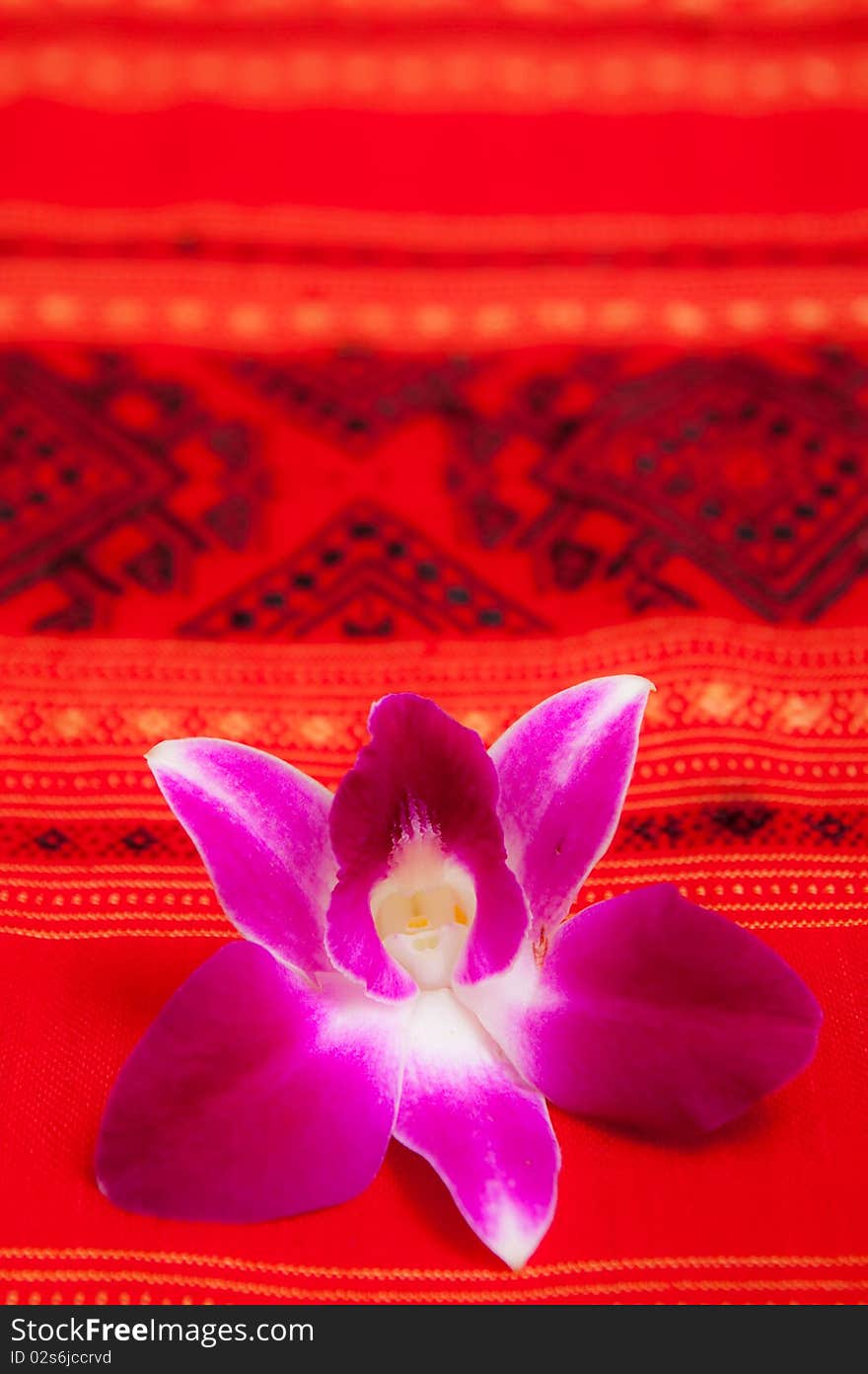 White Towel And Orchid