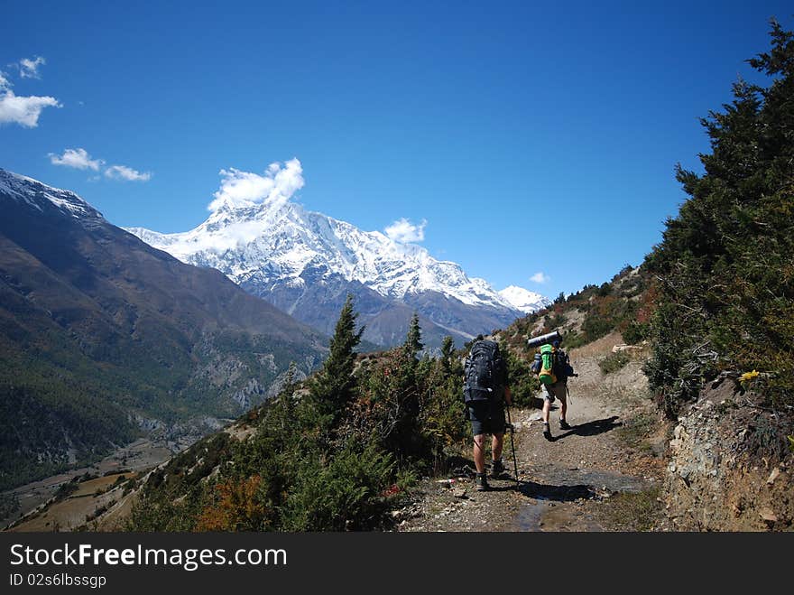 Hiking backpackers