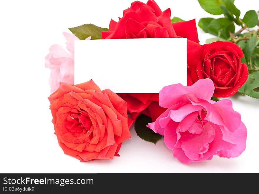 Roses with card on white