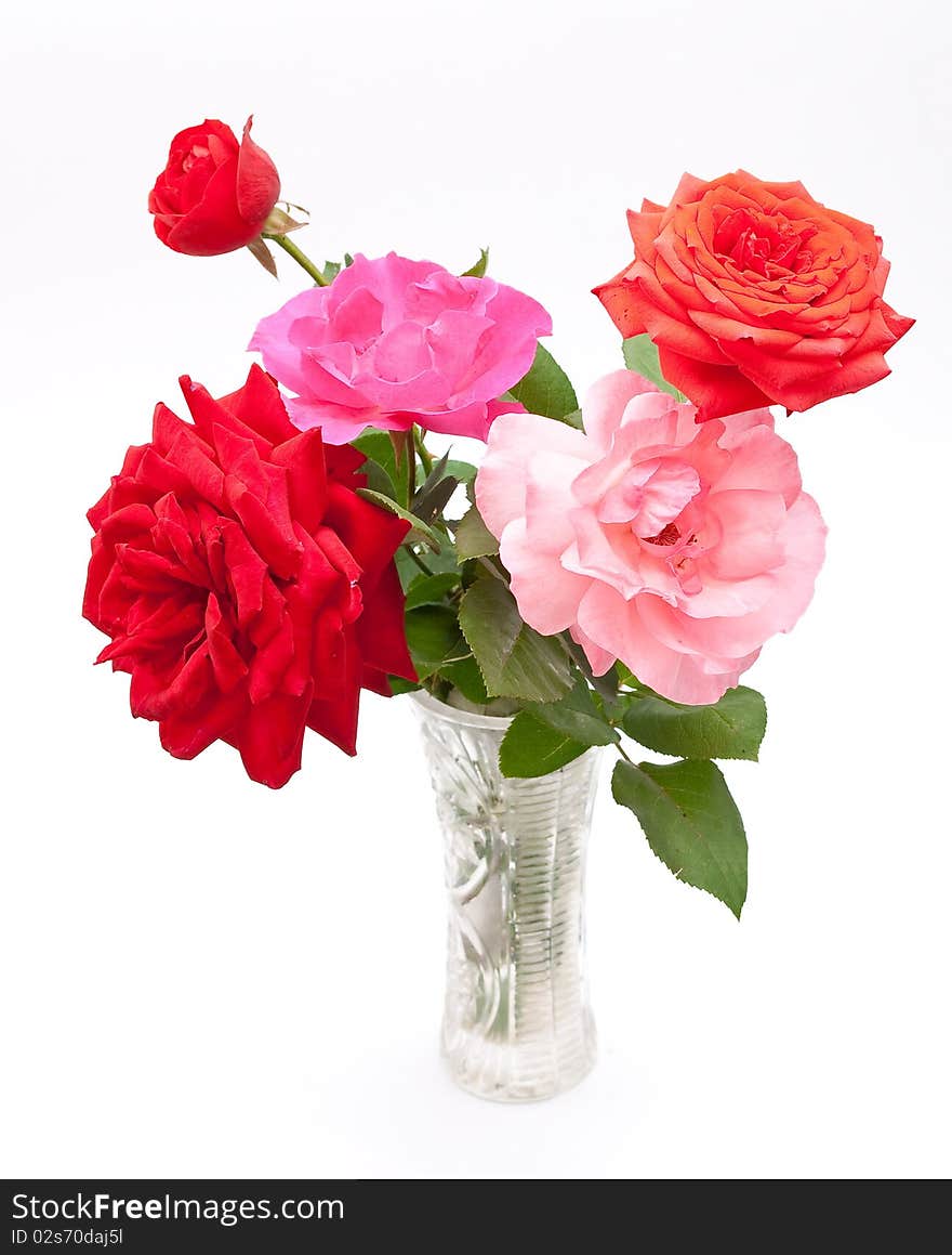 Bouquet of beautiful roses on white