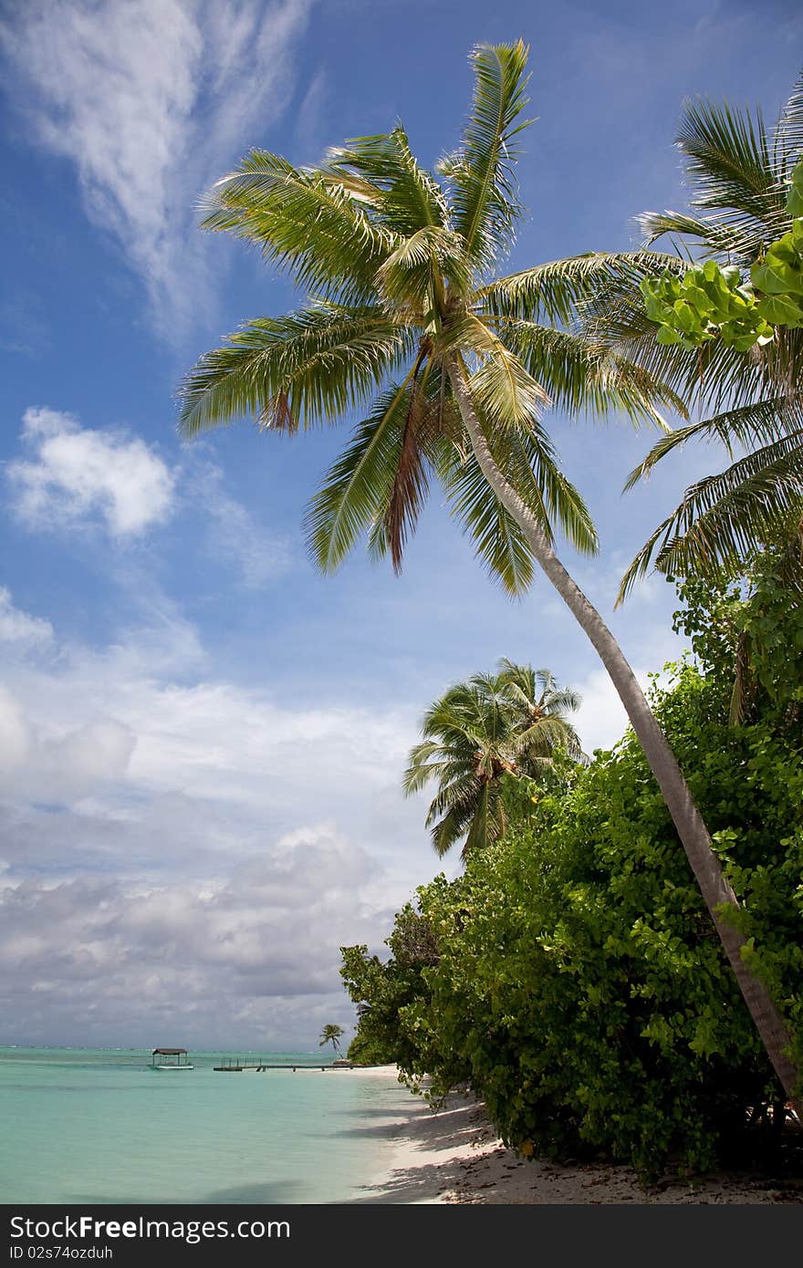 Maldives Beach