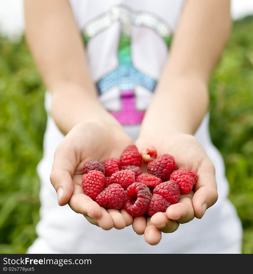 Girl holding fresh, delicious raspberries