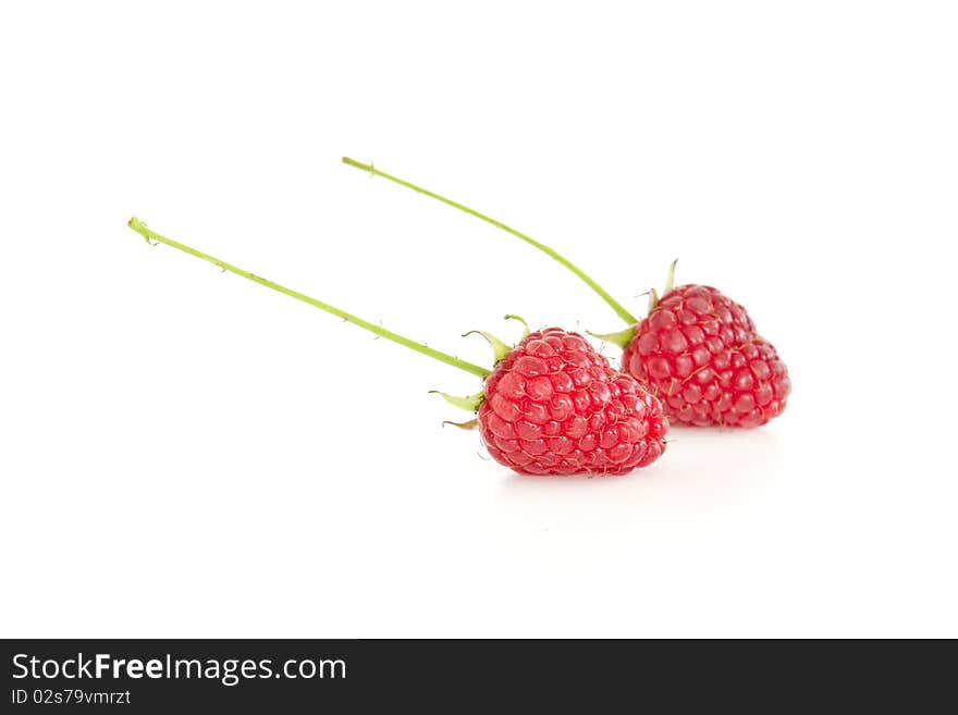 Two raspberries isolated on white