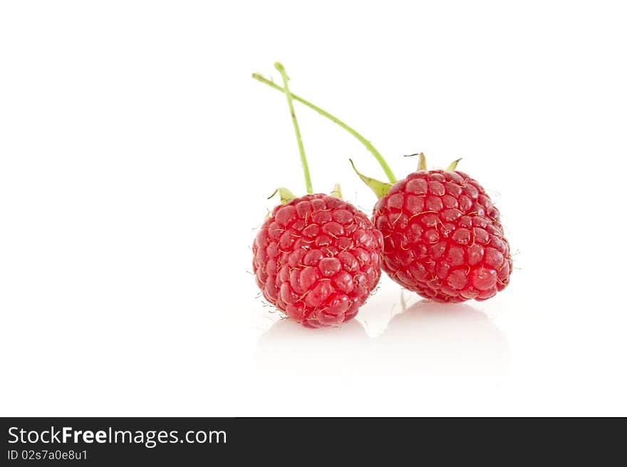 Two raspberries isolated on white