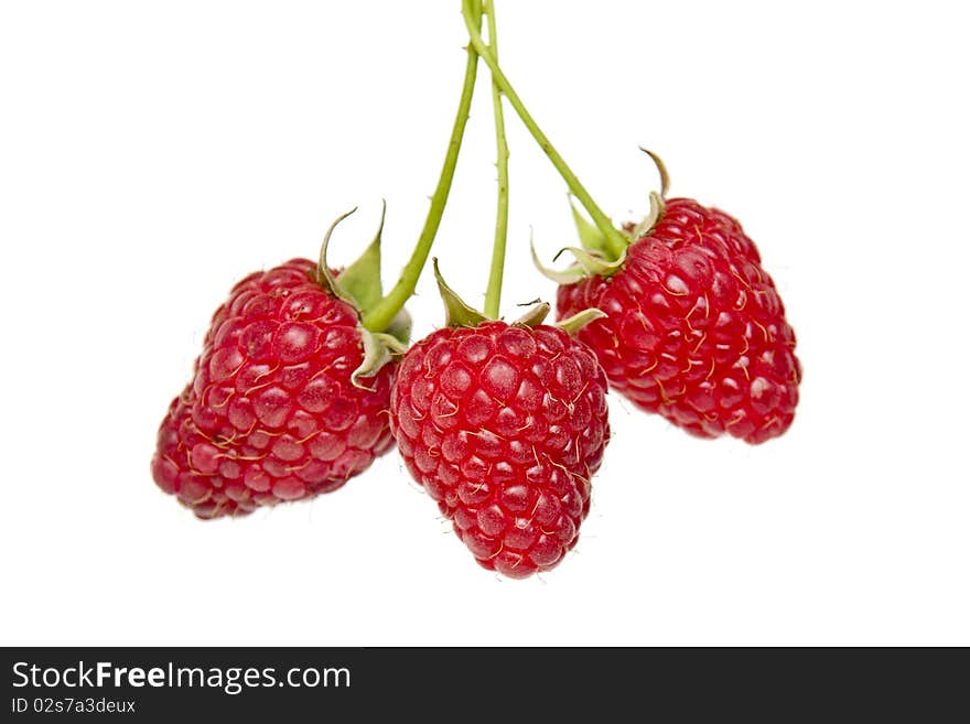 Three raspberries isolated on white