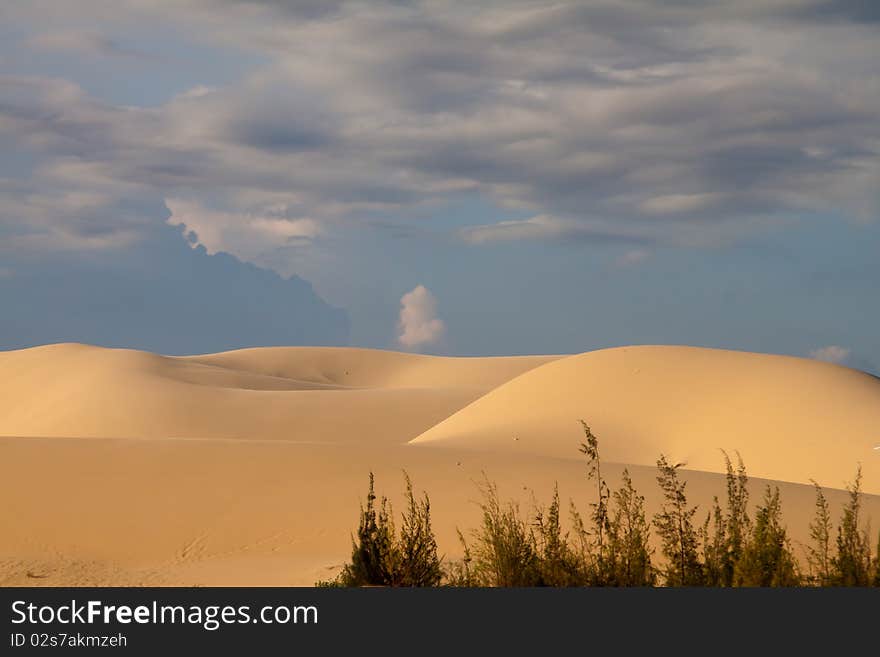 Sand dunes with plants in the front and a stormy sky in the background