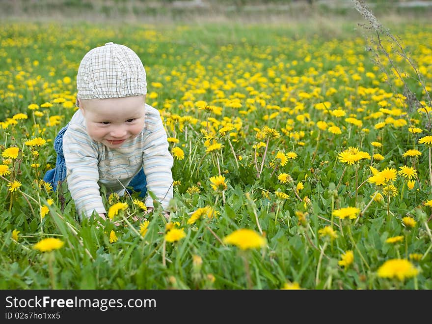 Little child summer meadow dandelion