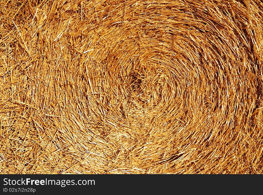 Roll Of Hay Close Up