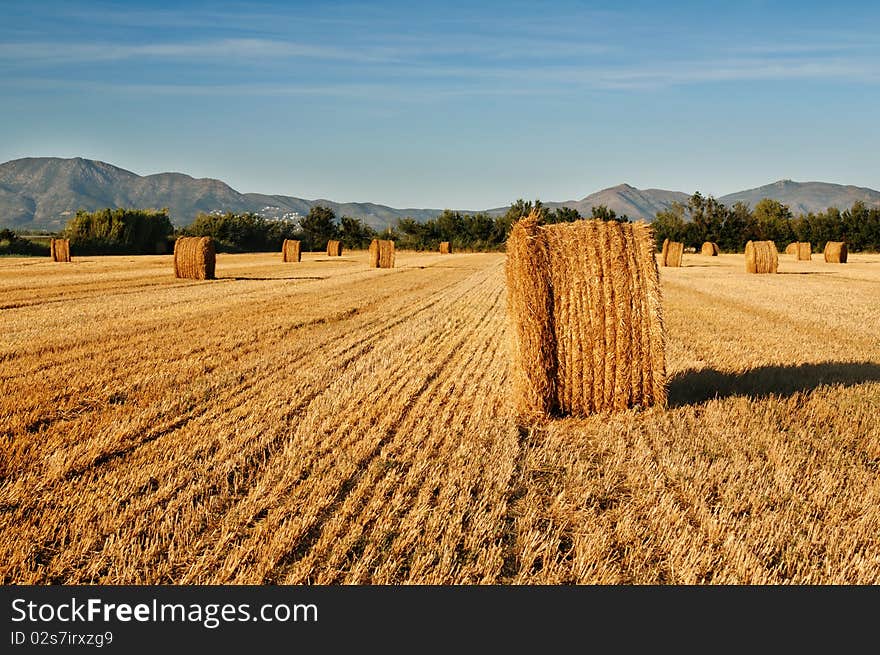 Rolls of hay against mountains.