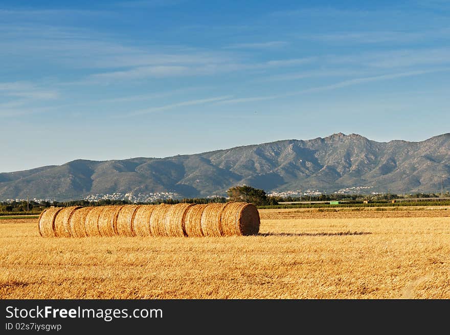 Rolls of hay against mountains.