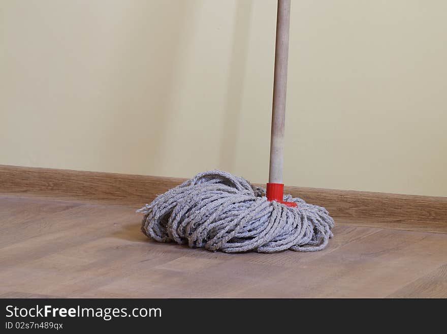 Mop In The Room