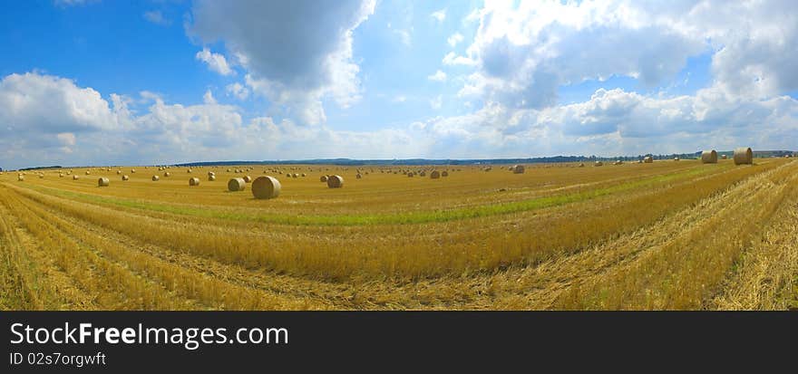 Big field and blue sky in Poland