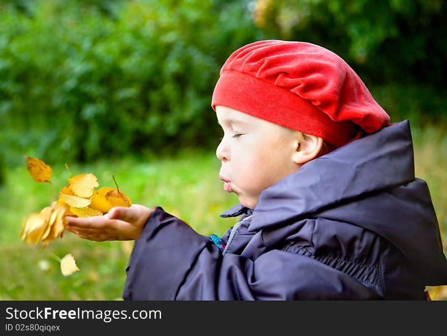 Little girl blowing on autumn leaves in her palms