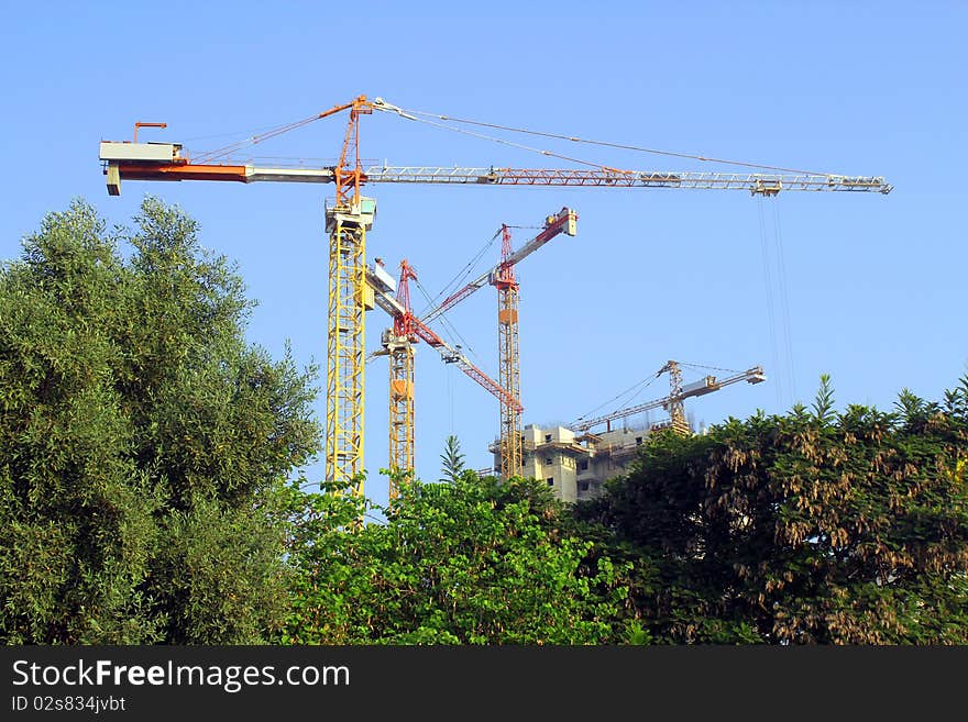 Cranes against a background of blue sky and trees