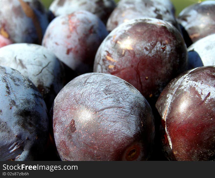 Detail photo texture of the plums background