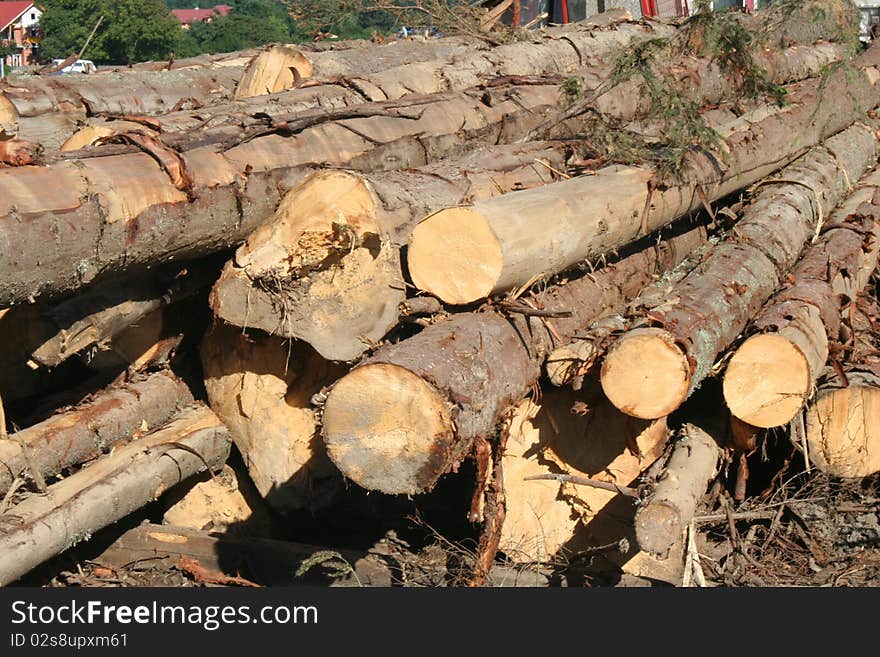 Sawn and stacked pine logs suitable as background. Sawn and stacked pine logs suitable as background