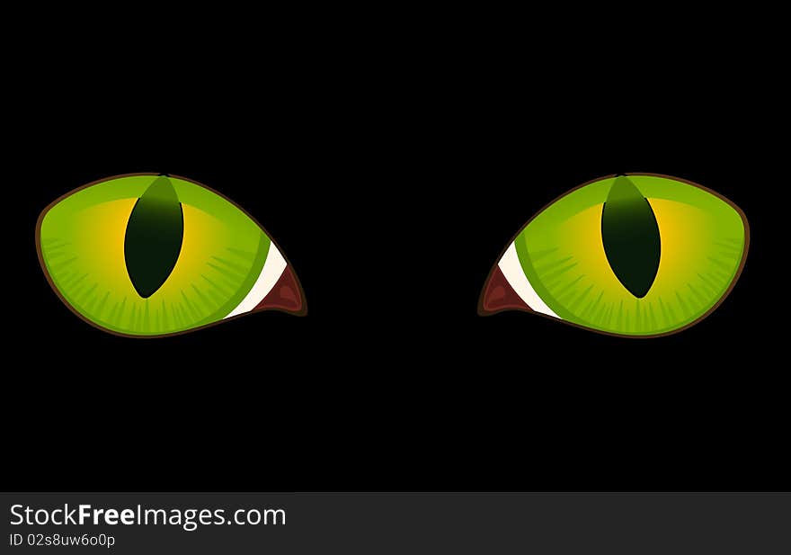 Image of cat eyes