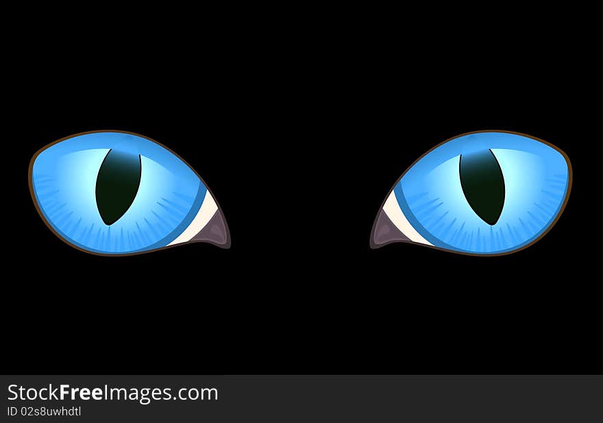 Image of cat eyes