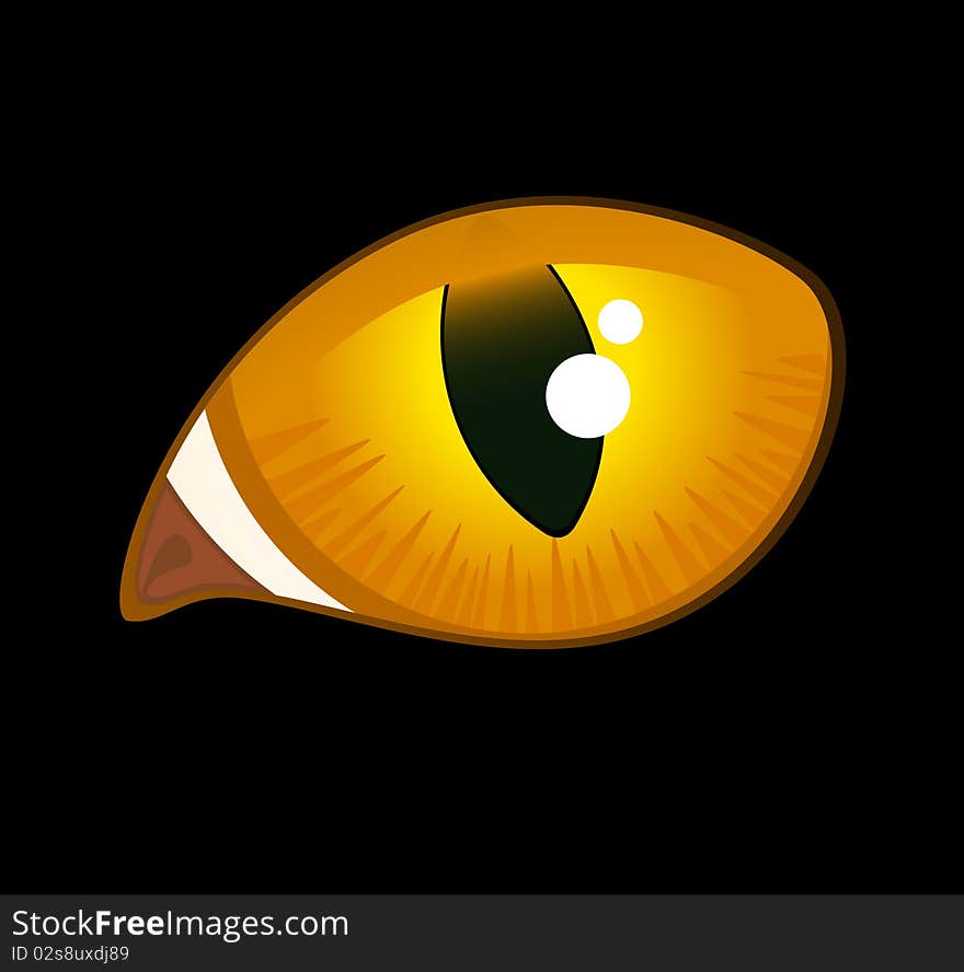 Image Of Cat Eyes