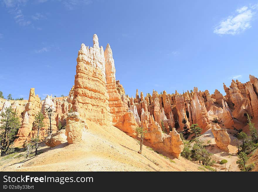 Into Bryce National Park, in the centre of its amphitheatre this orange hoodoo is touching the blu sky. Into Bryce National Park, in the centre of its amphitheatre this orange hoodoo is touching the blu sky