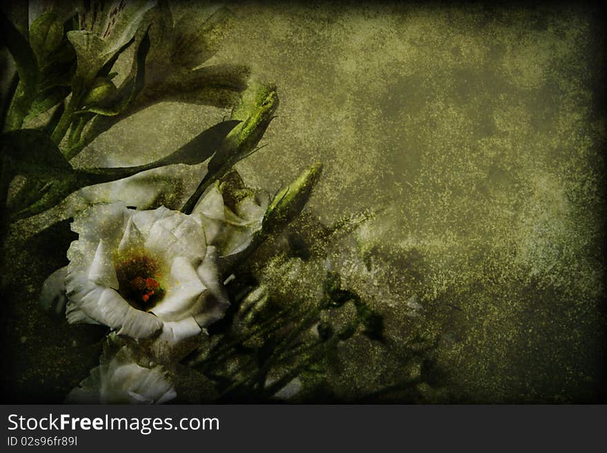 Darken background with white flowers. Darken background with white flowers