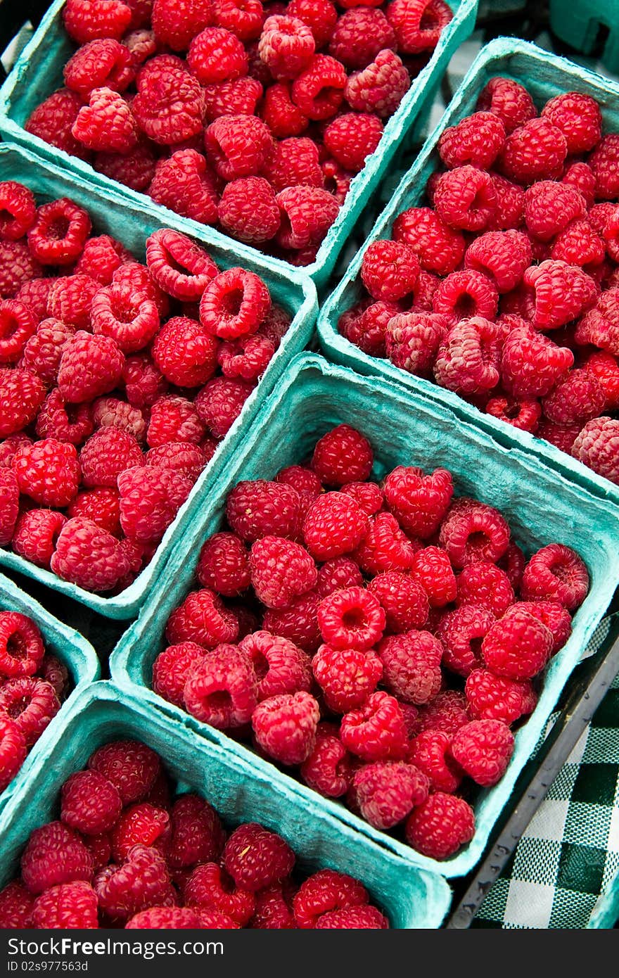 Fresh rasberries for sale at a local farmer's market