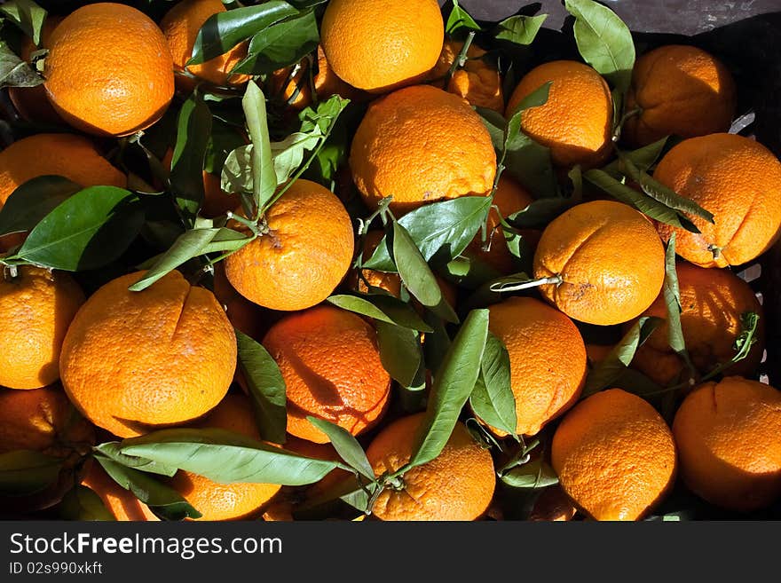 Fruit orange