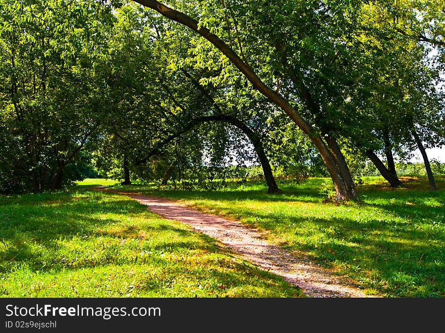 Sunny summer in Moscow park. Sunny summer in Moscow park