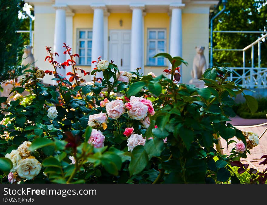 Sunny summer in Moscow park. Sunny summer in Moscow park