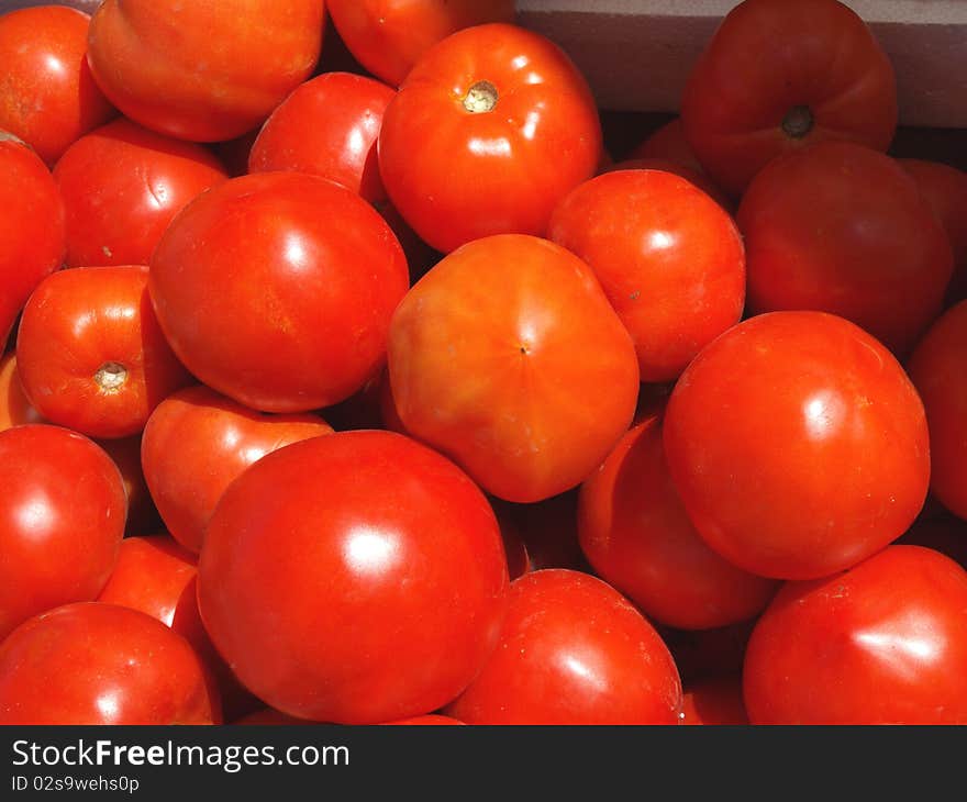 Tomatoes in baskets at the farm stand