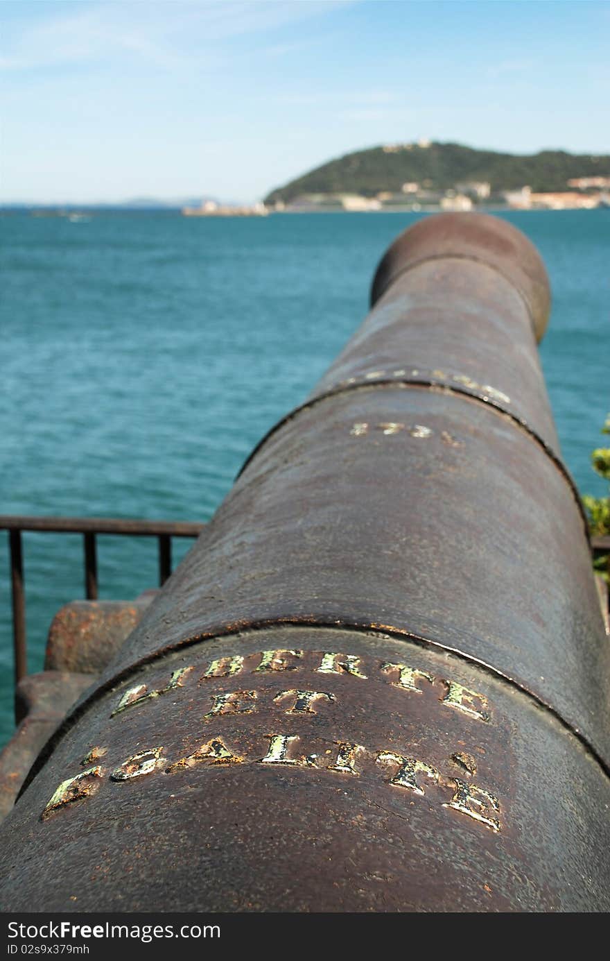 Large cannon with registration Freedom and Equal. Large cannon with registration Freedom and Equal