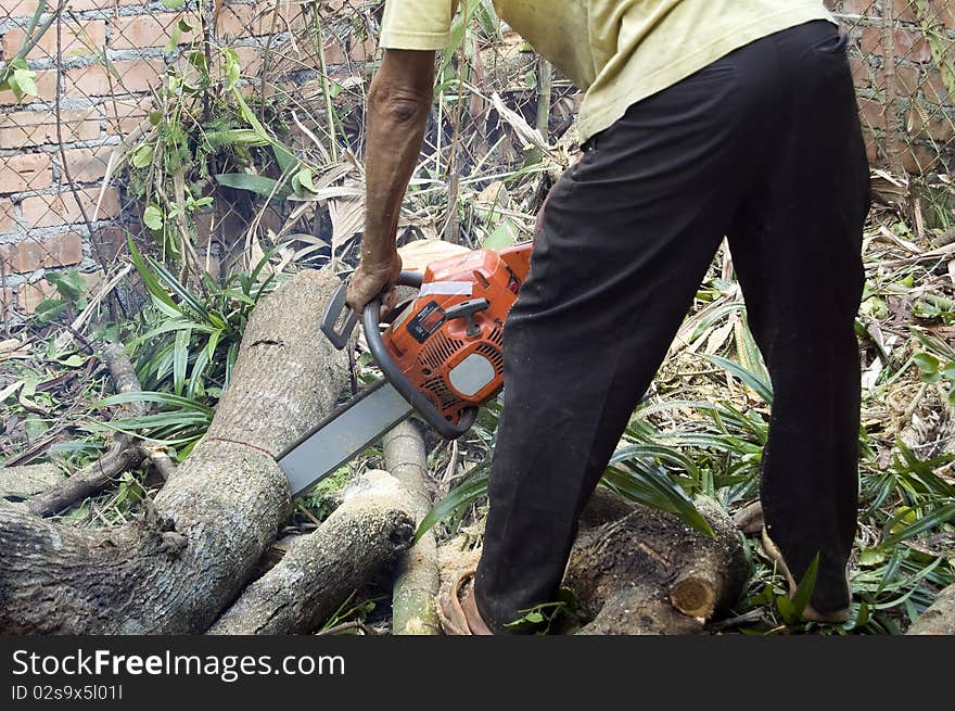 Wood Cutter cutting the trees with the electrical Chain Saw. Wood Cutter cutting the trees with the electrical Chain Saw