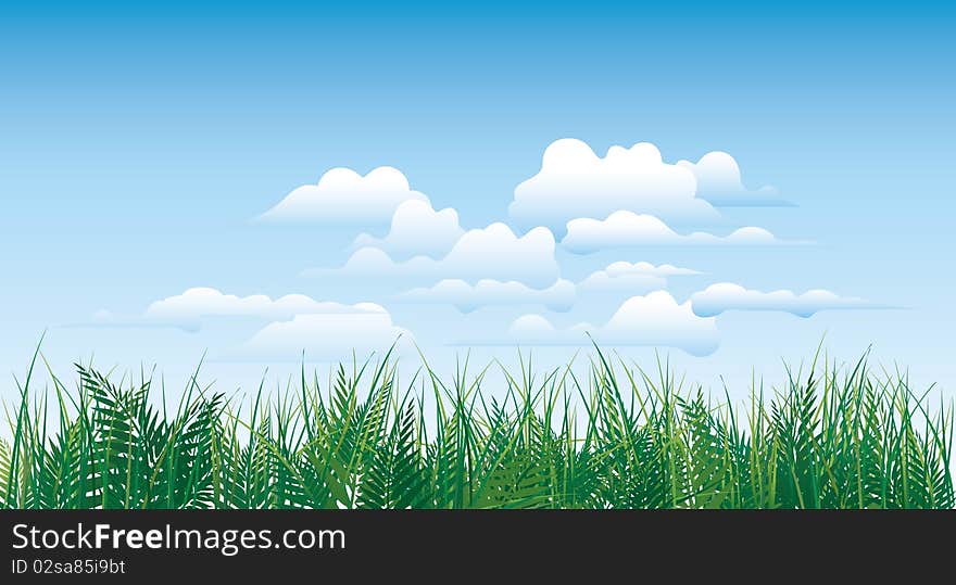 Green grass on cloudy background