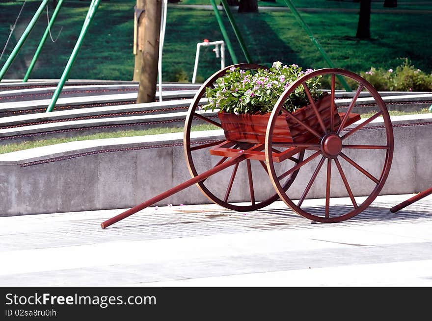 Old cart of flower