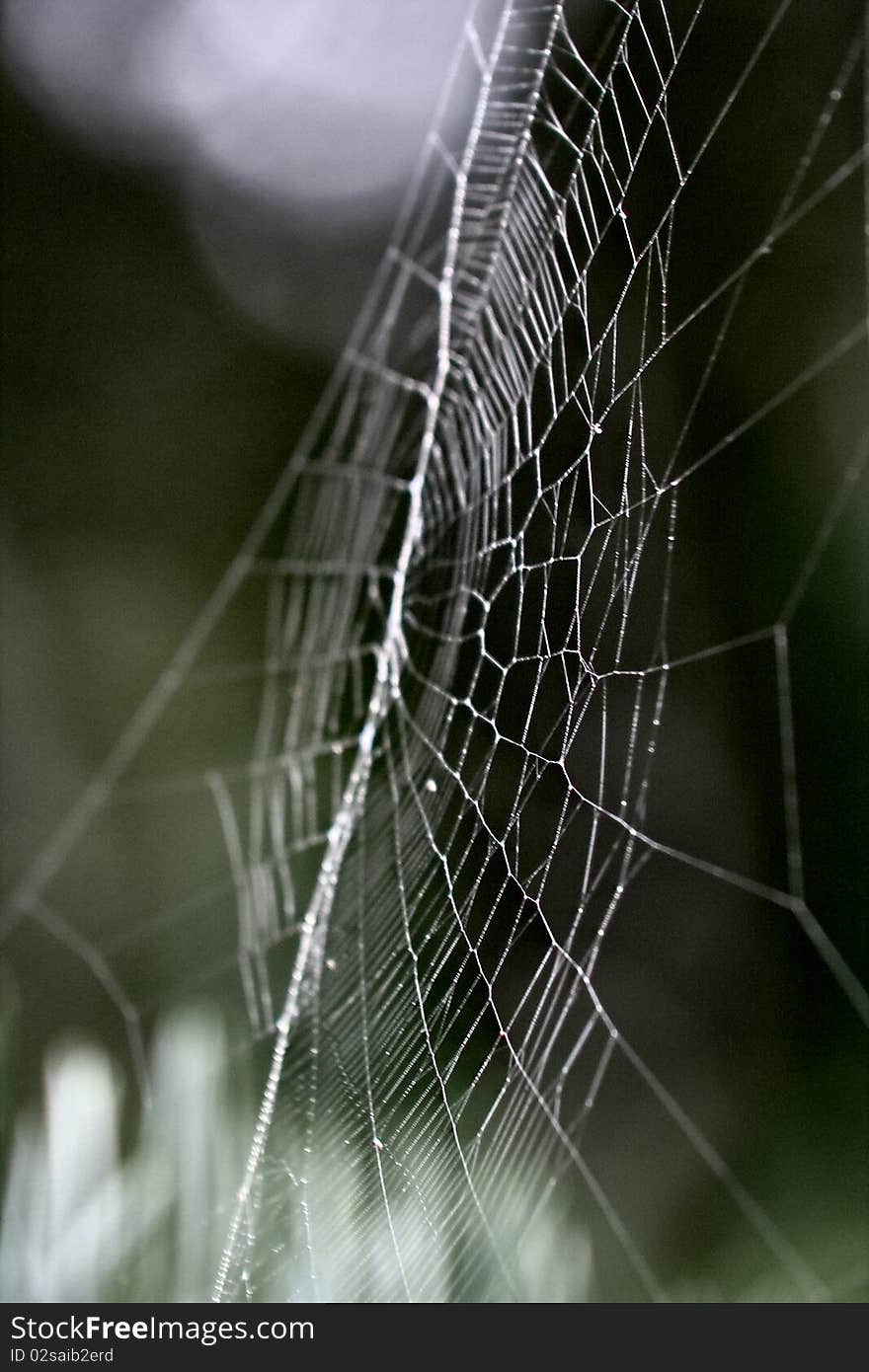 Web without a spider