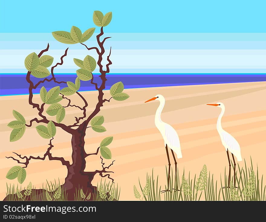 Postcard with the image of a pair of egrets. Postcard with the image of a pair of egrets