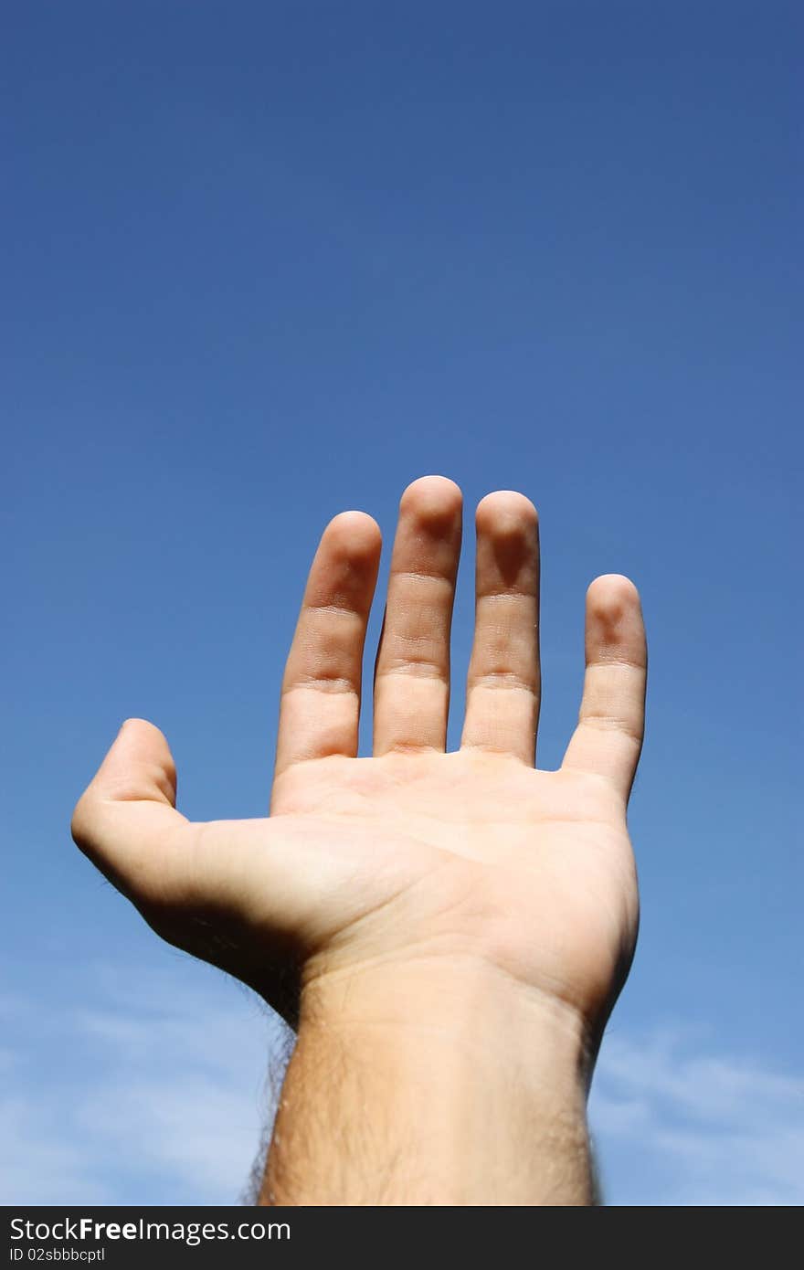 Hand holding something on the blue sky background